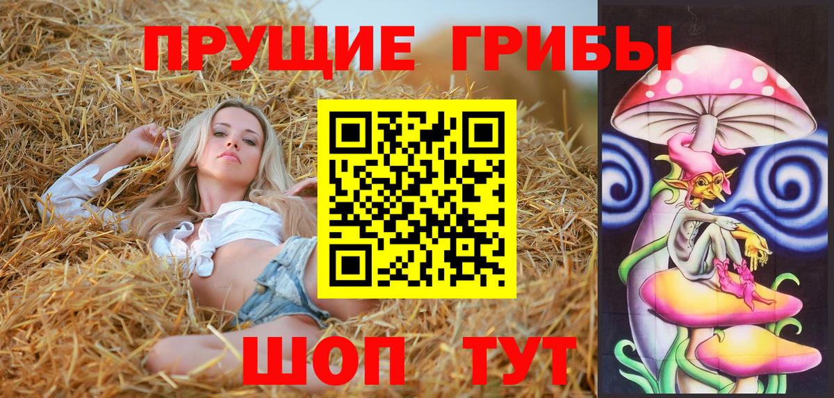 Галлюциногенные грибы MAGIC MUSHROOMS  Вход с VPN  купить  сайты  Ишим 
